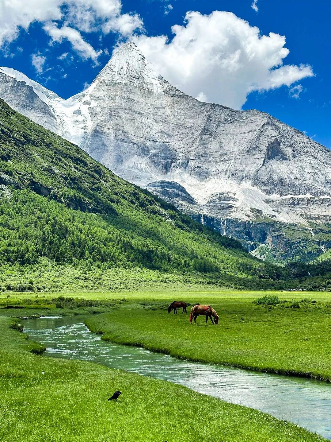 Yangmaiyong – Sacred Snow Peak of Yading Travel to China’s Purest Landscape